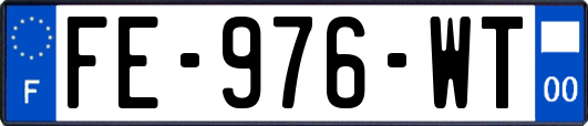 FE-976-WT