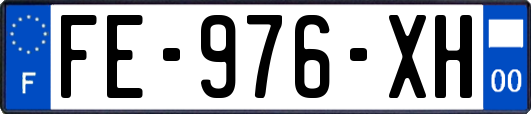 FE-976-XH