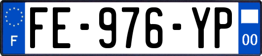 FE-976-YP