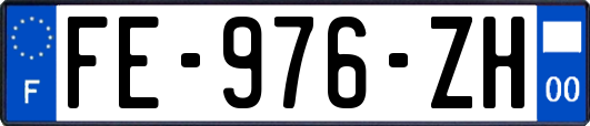 FE-976-ZH