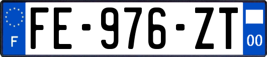 FE-976-ZT