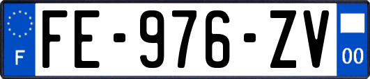 FE-976-ZV