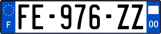 FE-976-ZZ