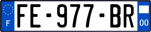 FE-977-BR