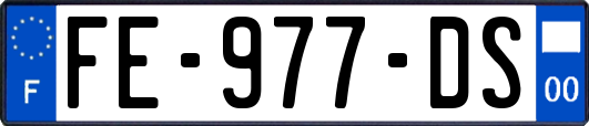 FE-977-DS