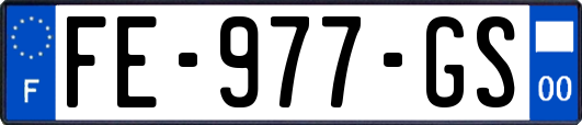 FE-977-GS