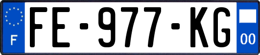 FE-977-KG