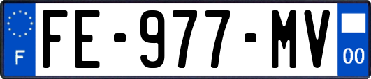 FE-977-MV