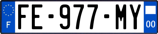 FE-977-MY