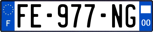 FE-977-NG
