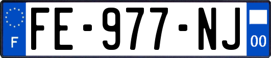 FE-977-NJ