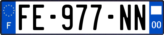 FE-977-NN
