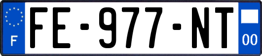 FE-977-NT