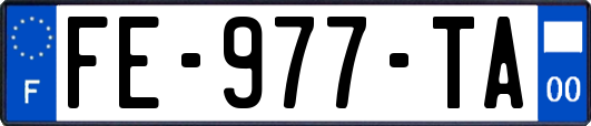 FE-977-TA