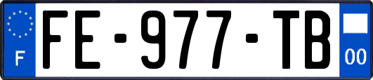 FE-977-TB