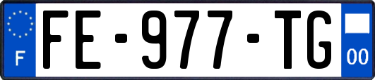 FE-977-TG