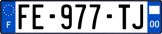 FE-977-TJ