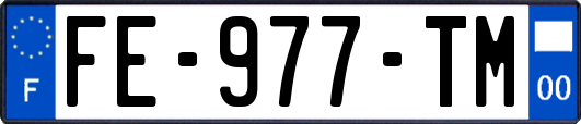 FE-977-TM