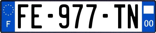 FE-977-TN