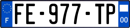 FE-977-TP