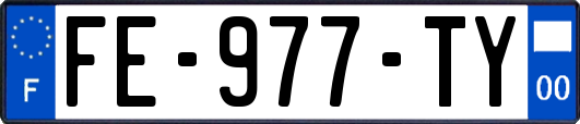 FE-977-TY