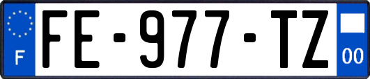 FE-977-TZ