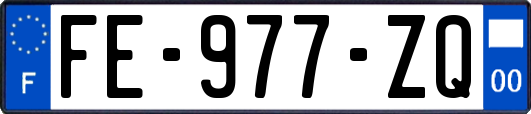 FE-977-ZQ