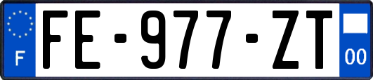 FE-977-ZT