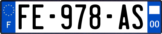 FE-978-AS