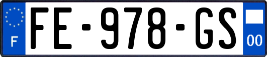 FE-978-GS