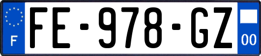 FE-978-GZ