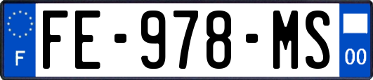 FE-978-MS