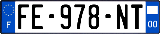 FE-978-NT