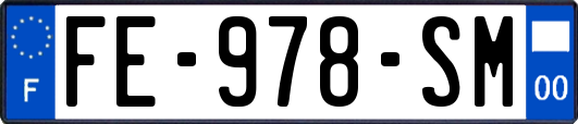 FE-978-SM