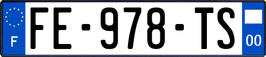 FE-978-TS