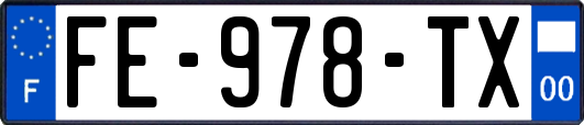 FE-978-TX