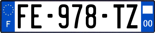 FE-978-TZ