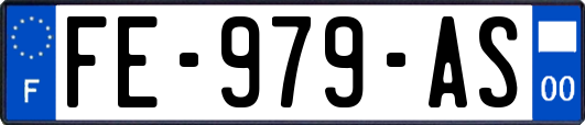 FE-979-AS