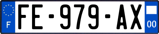 FE-979-AX
