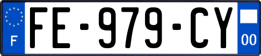 FE-979-CY