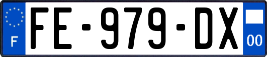 FE-979-DX