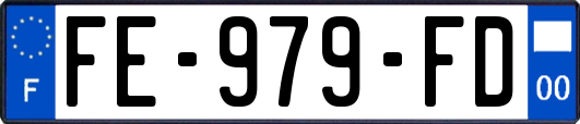 FE-979-FD