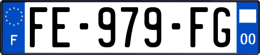 FE-979-FG