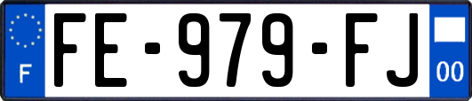 FE-979-FJ