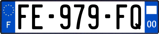 FE-979-FQ