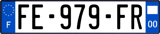 FE-979-FR