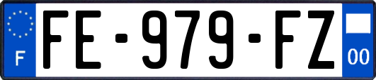 FE-979-FZ