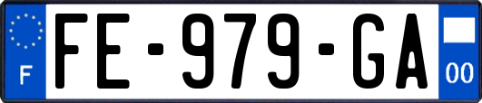 FE-979-GA