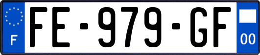 FE-979-GF