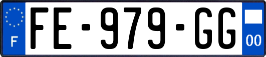 FE-979-GG